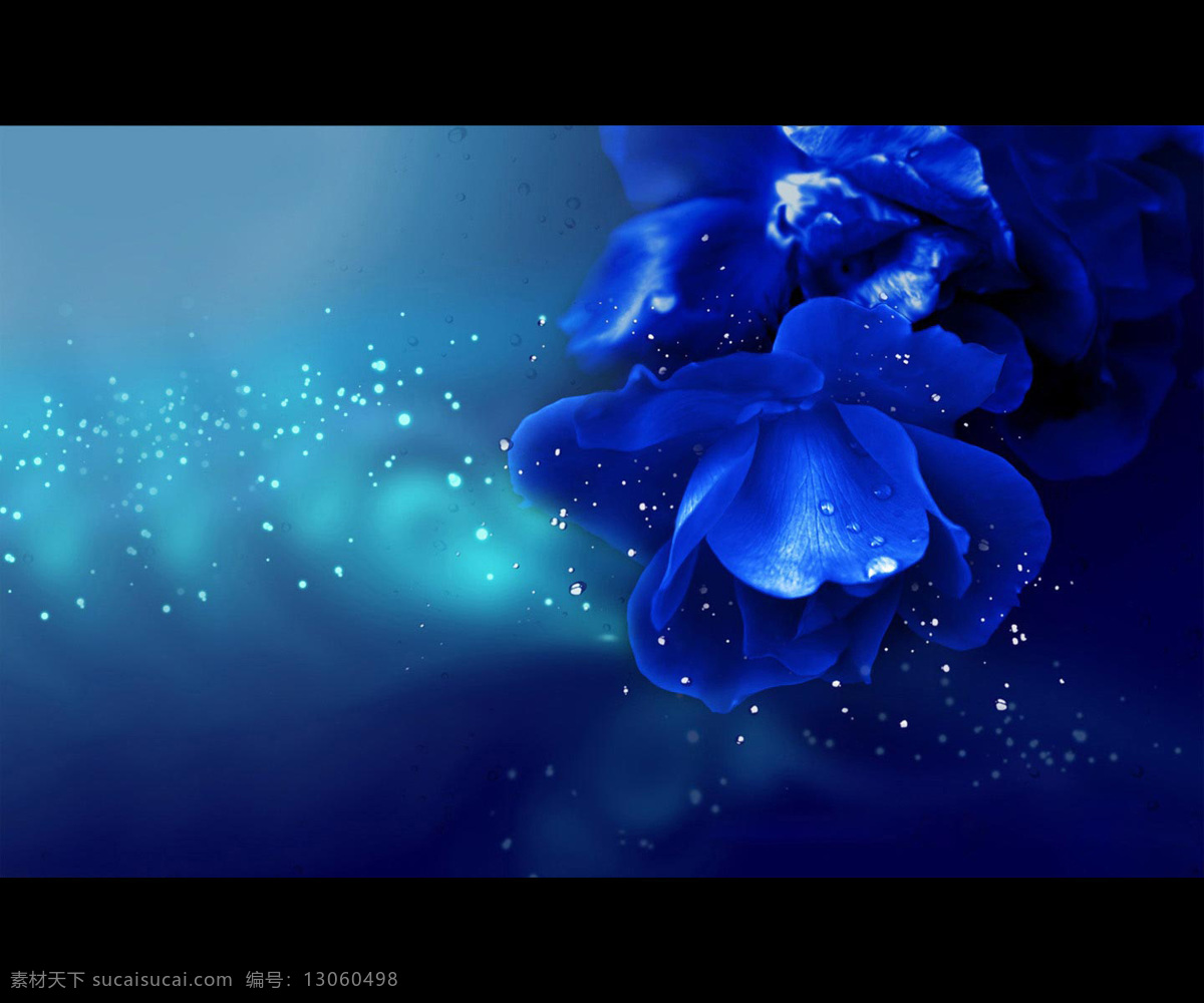 蓝色背景 蓝色 花 背景 蓝色妖姬 梦幻 底纹边框 背景底纹