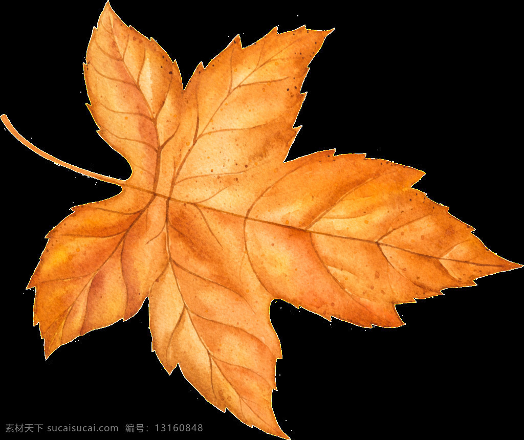 秋季 枯黄 树叶 矢量 橙黄色 落叶 平面素材 设计素材 矢量素材 叶片 一片