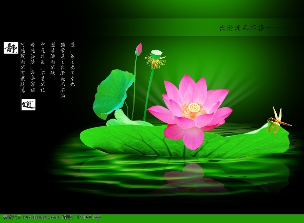 荷花 创意 模板下载 广告 水墨荷花 装饰画 荷花素材下载 psd源文件
