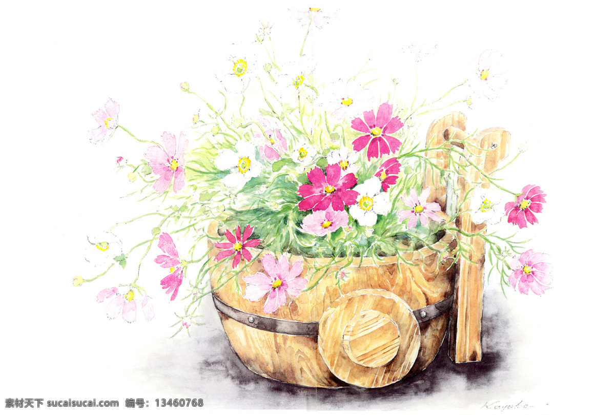 花卉 水彩 插画 唯美壁纸 花卉水彩插画 画册插画 插画集