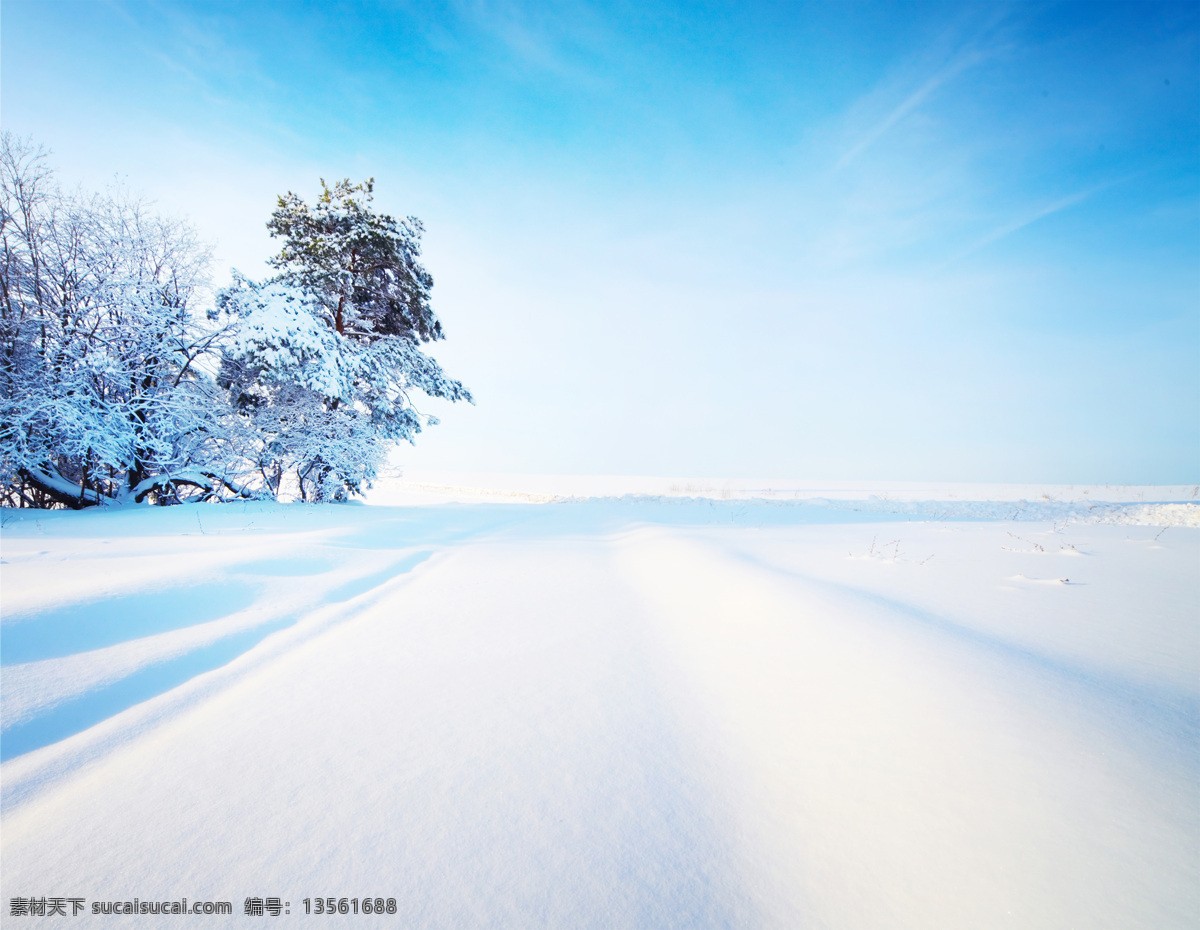 美丽雪地风景 梦幻背景 冬天雪景 雪地 白雪 底纹背景 积雪 自然风景 自然景观 白色