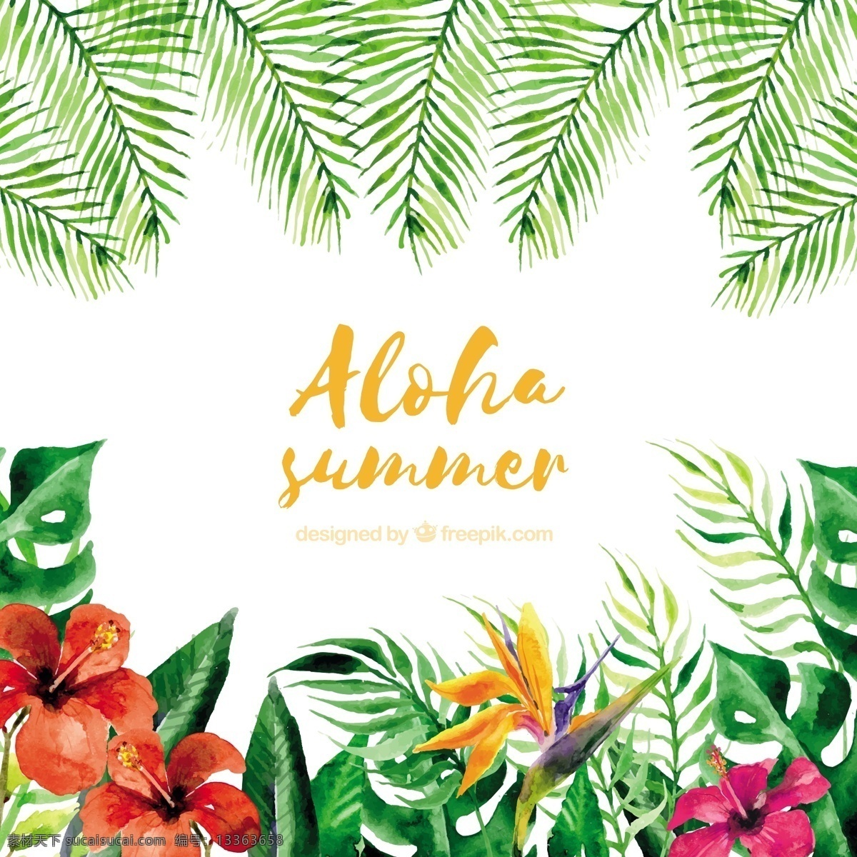 水彩画 aloha 夏季 背景 植物 花朵 花卉 水彩 自然 花卉背景 海滩 水彩花卉 水彩背景 树叶 热带 自然背景 棕榈树 夏季海滩 夏威夷