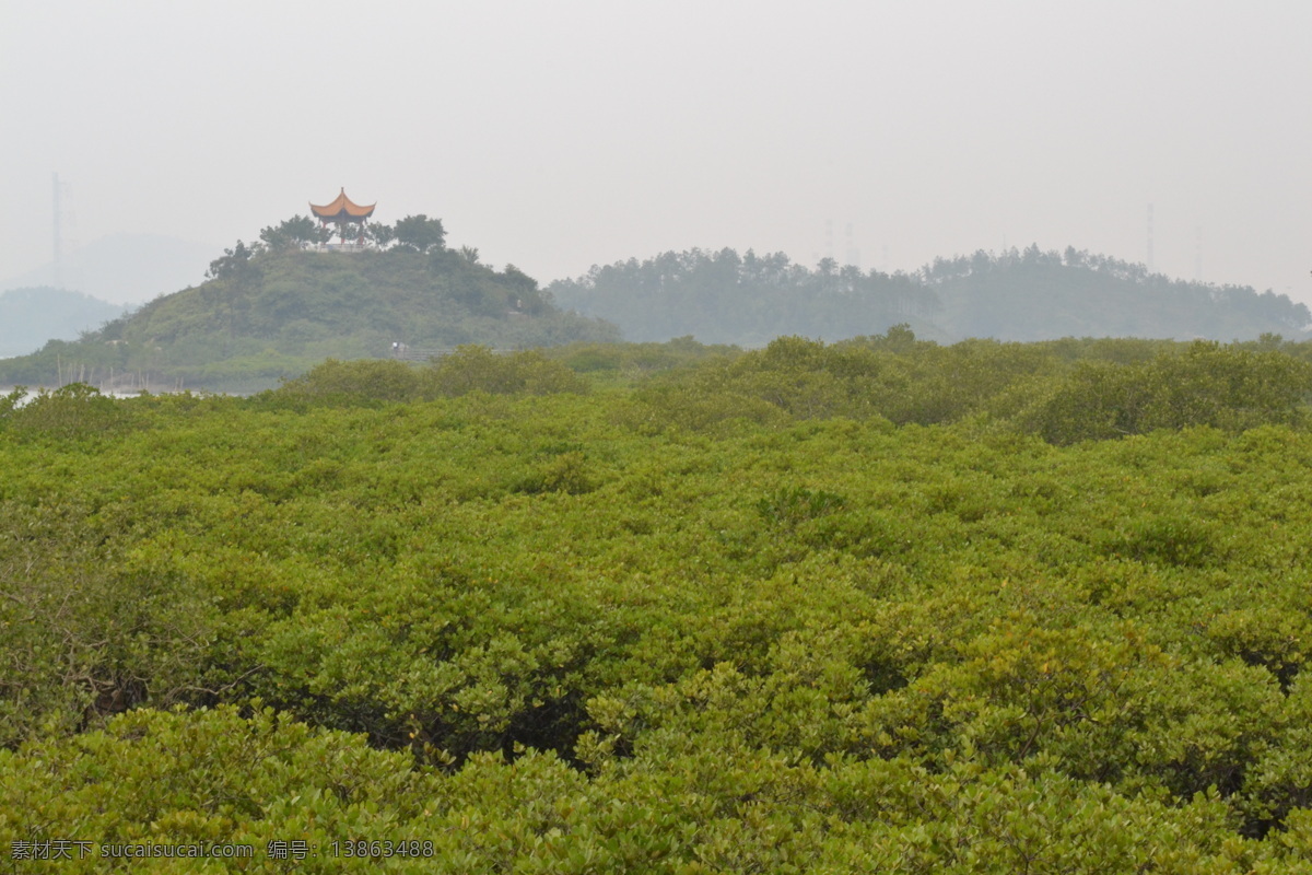 远处的亭子 红树林 亭子 绿树 山峦 园林建筑 建筑园林