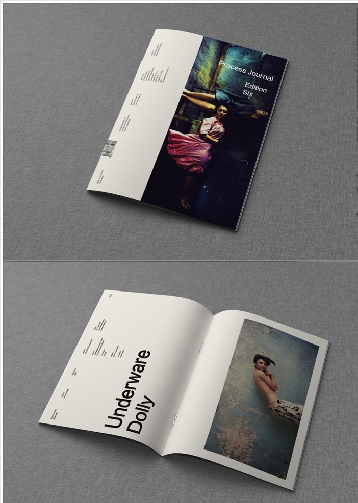 画册 杂志 手册 样机 效果图 3d设计 展示模型