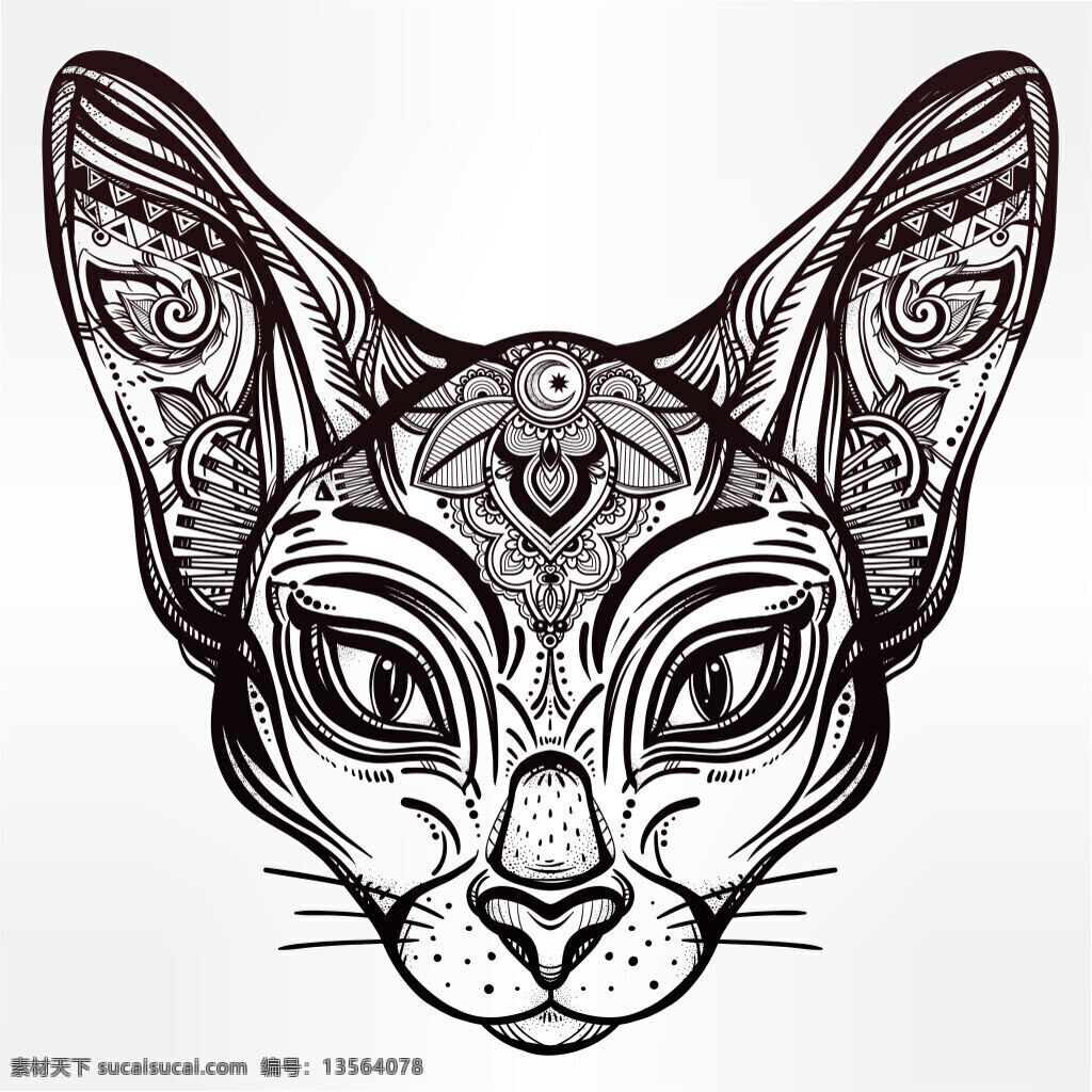 黑白 艺术 动物 头像 图案 豹子 小猫 创意