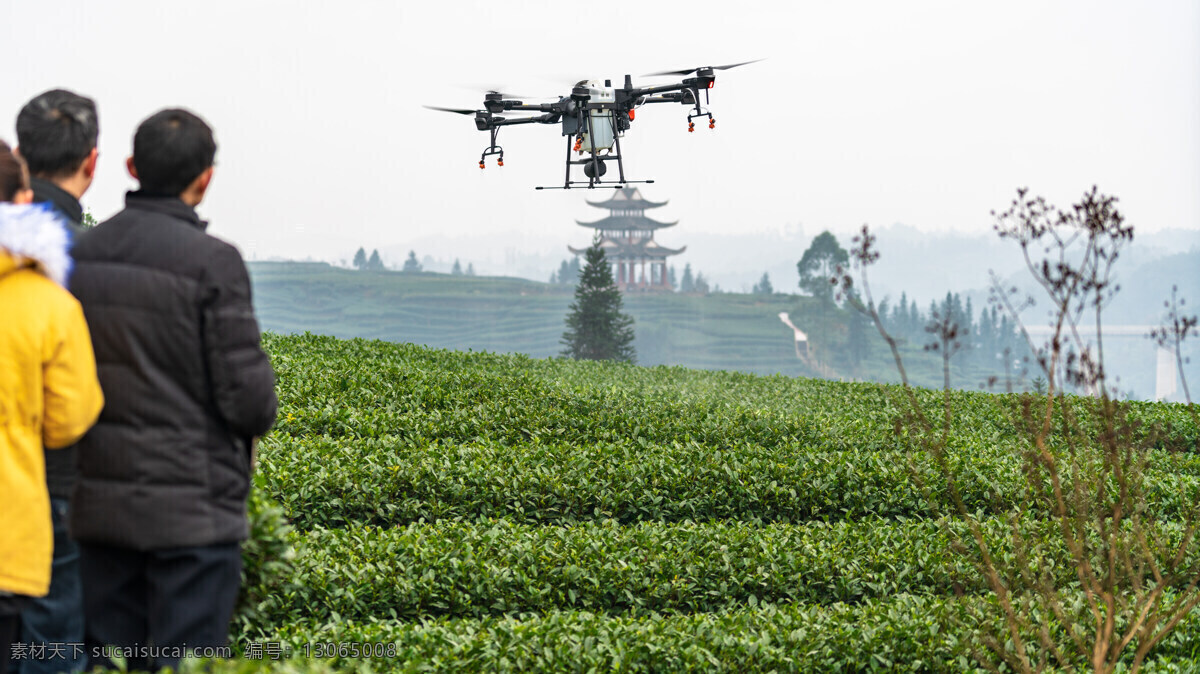 植保无人机 dji 大疆 t16 农田 农业 三农 植保 无人机 茶园 梯田 现代科技 农业生产