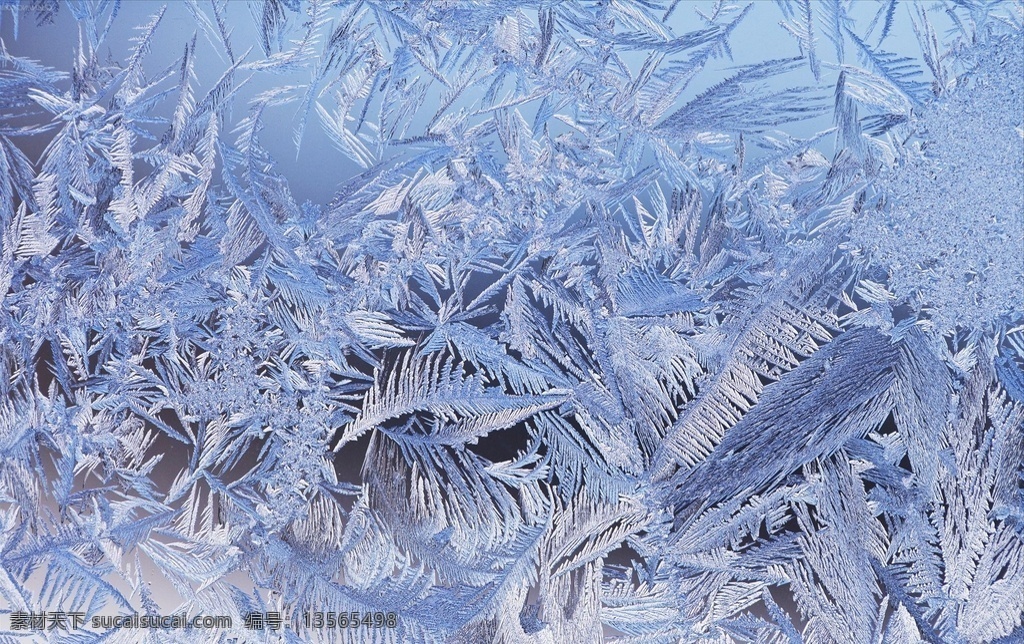 羽毛肌理 冰霜 霜 羽毛 冰 雪 雪霜 树叶 叶子 抽象质感肌理 c4d 金属质感 质感底纹 高端底纹 底纹