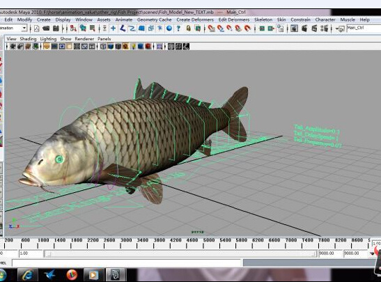 鲤鱼 模型 3d模型 鲤鱼模型 3d制作 3d模型素材 其他3d模型
