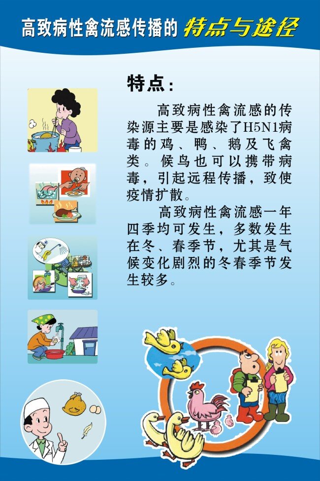 禽流感 传播 蓝色 招贴画 矢量图 日常生活