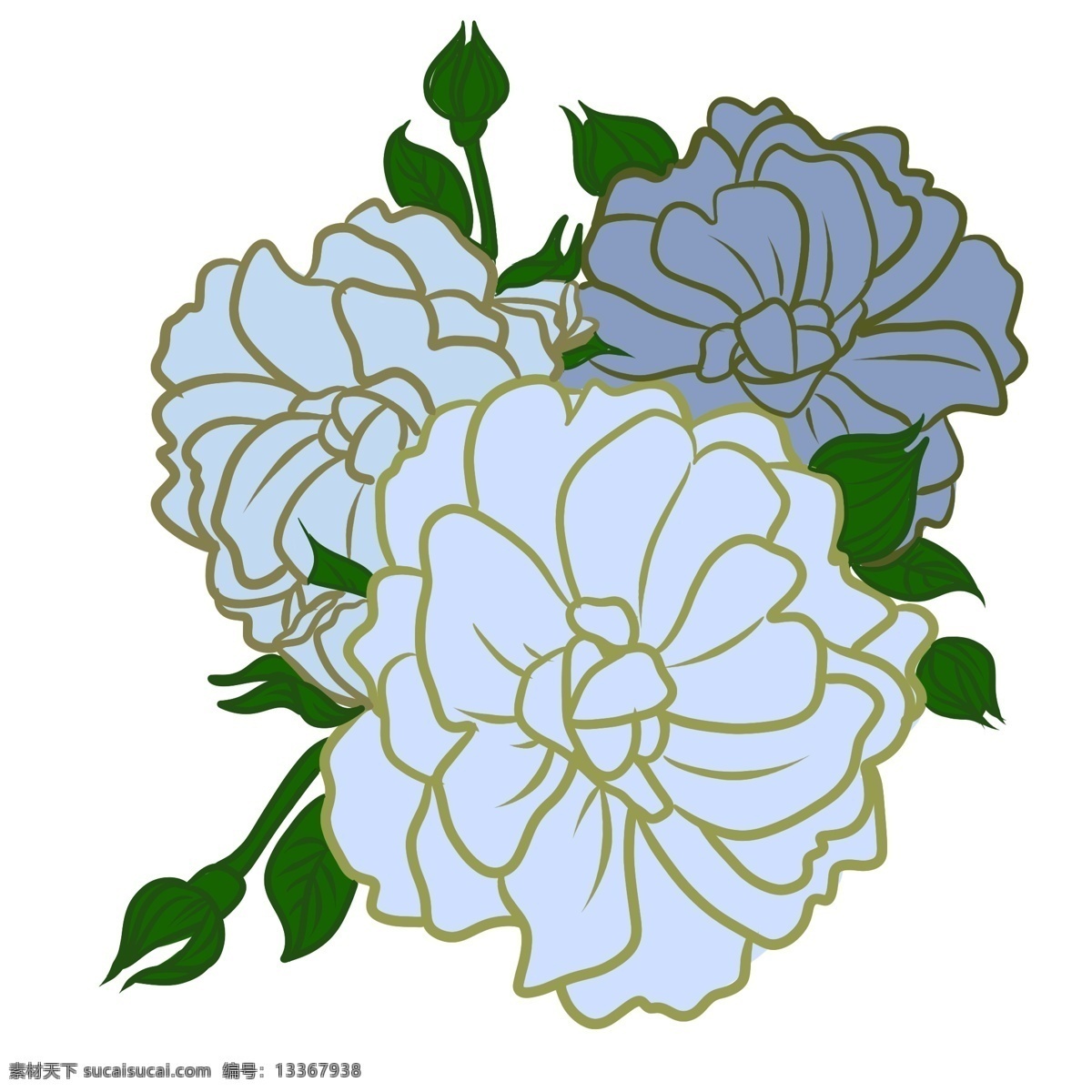白色花朵设计 漂亮 白色 叶子