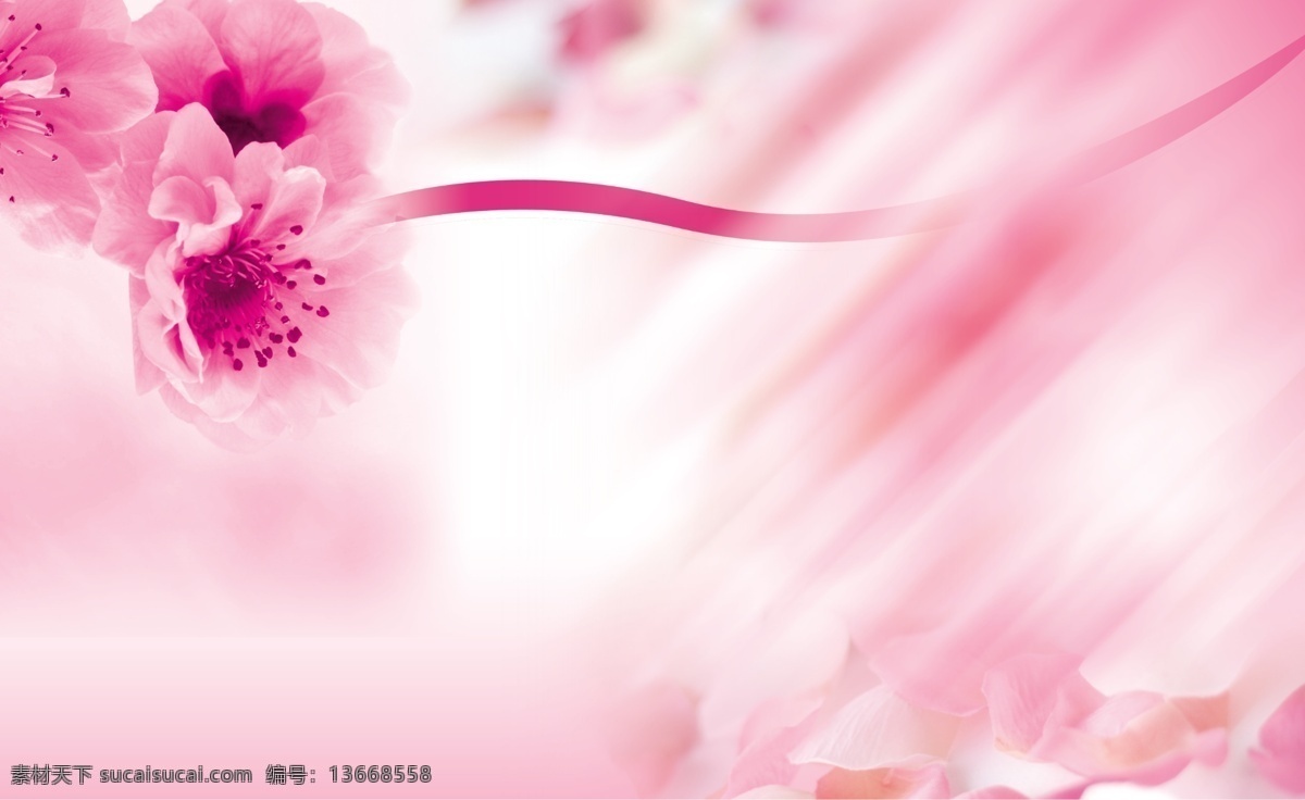 背景 背景素材 春天 桃花 粉嫩 psd源文件