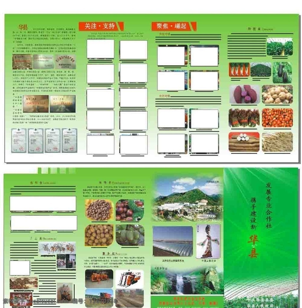 蔬菜宣传页 蔬菜 宣传页 折页 四折页 传单 紫薯 葱 土豆 山药 圣女果 香椿 茄子 大棚菜 竹笋 dm宣传单 矢量