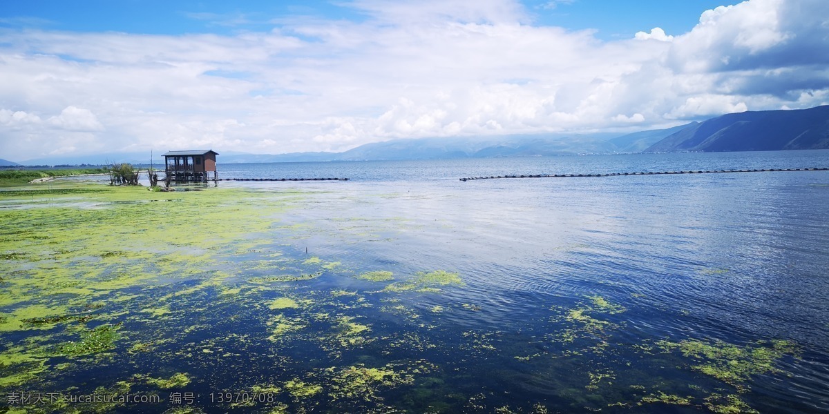 洱海风景 风景 水面 湖面 天空 洱海 水草 旅游摄影 国内旅游