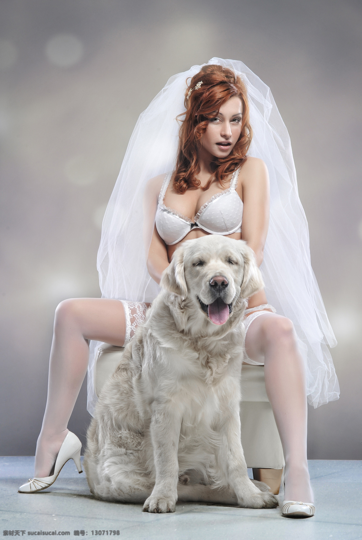 性感 新娘 狗 性感新娘和狗 美女 婚纱照 人物摄影 情侣图片 人物图片