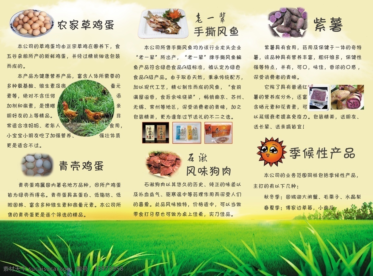 黄色免费下载 dm宣传单 广告设计模板 黄色 鸡 鸡蛋 农副产品 三折页 宣传单 源文件 psd源文件