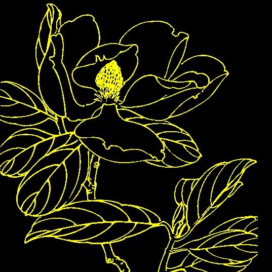 白描花卉 矢量 矢量cdr 设计素材 植物图案 中华图典 矢量图库 黑色