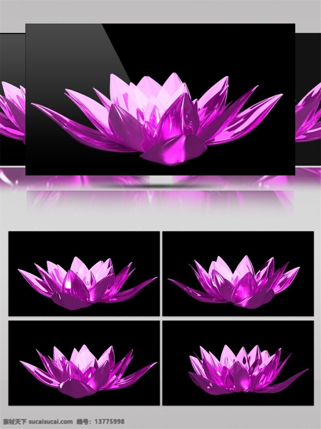 紫色 水晶 昙花 高清 视频 梦幻紫色 水晶花朵 唯美浪漫 视频素材 动态视频素材