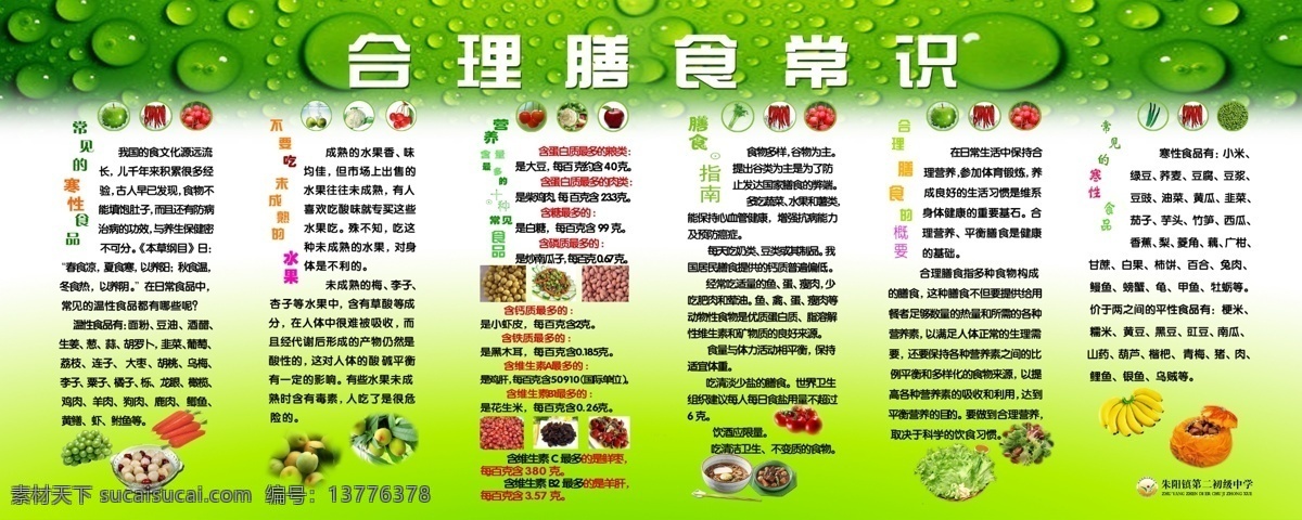 合理膳食常识 寒性食品 成熟水果 蛋白质 谷物 蔬菜 学校食堂展板 学校类 分层