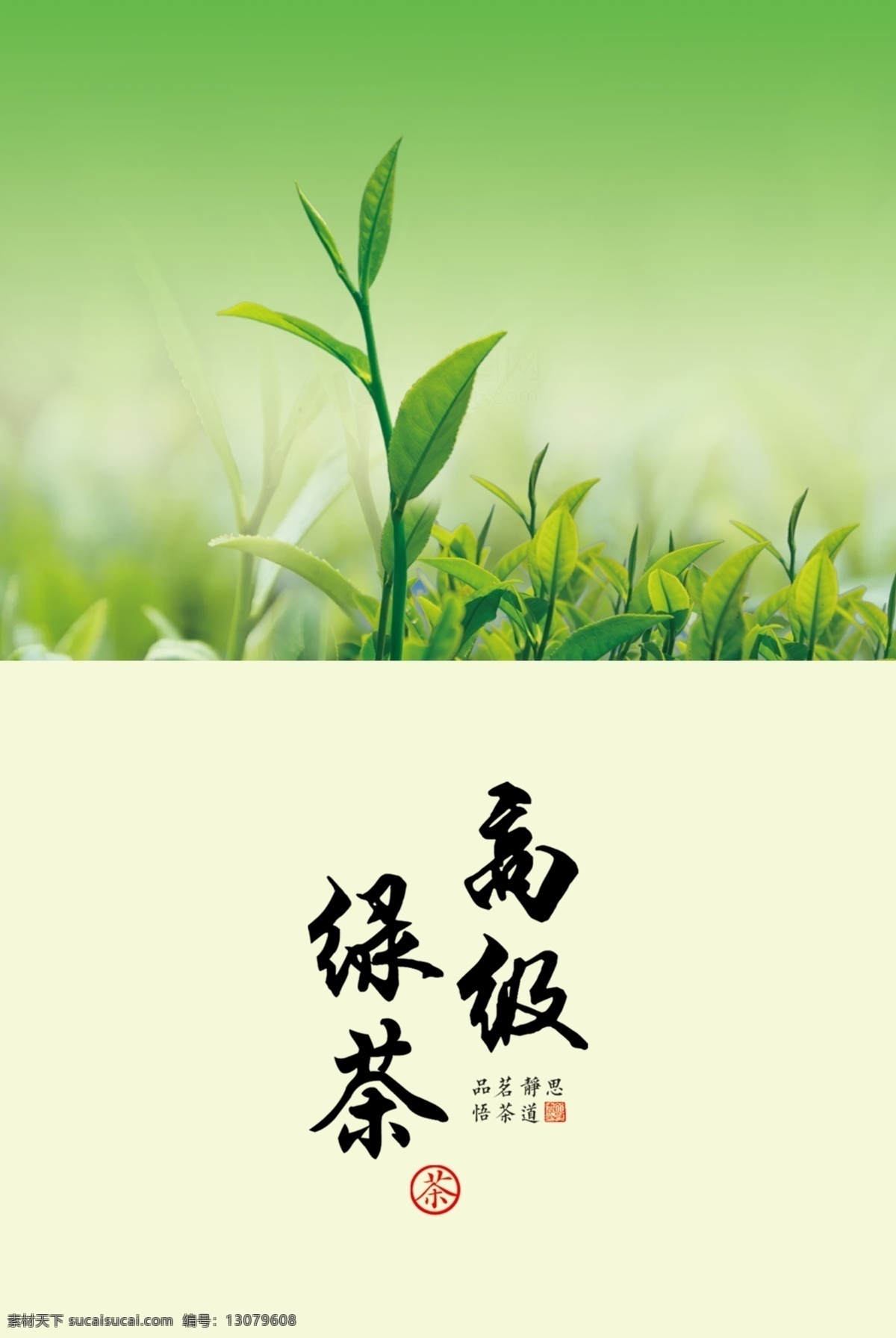 绿茶包装设计 茶叶 嫩芽 茶芽 绿叶 包装设计 分层