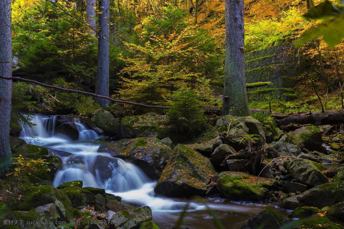 唯美 树林 树木 壮丽山川 弥漫晨雾 静谧森林 湖光山色 秀美山乡 清晨 梦幻 迷雾森林 树 植被 林区 绿色 植物绿化 花草 草丛 森林背景 植物树木 自然景观 自然风光 山 草 小溪 流水 溪水 水 自然风景