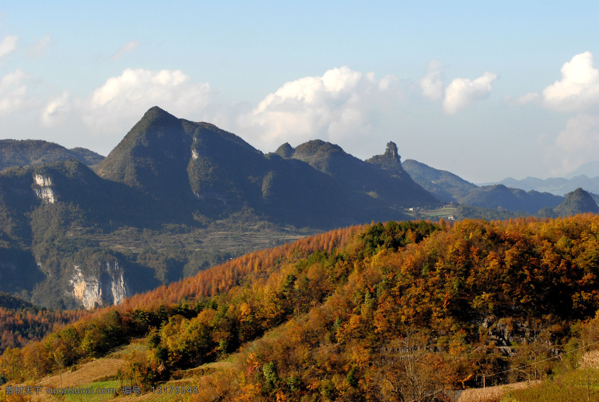 风景画 山林 山水 树林 自然风景 自然景观 日本 落叶松 基地 长岭岗风景 长岭岗林场 落叶松基地 建始县 高坪镇 长岭岗 林场 高坪 日本落叶松 家居装饰素材 山水风景画