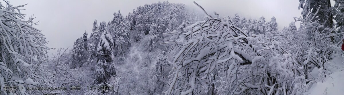 西岭雪山 雪 登山 雪山 自然 自然景观 自然风景