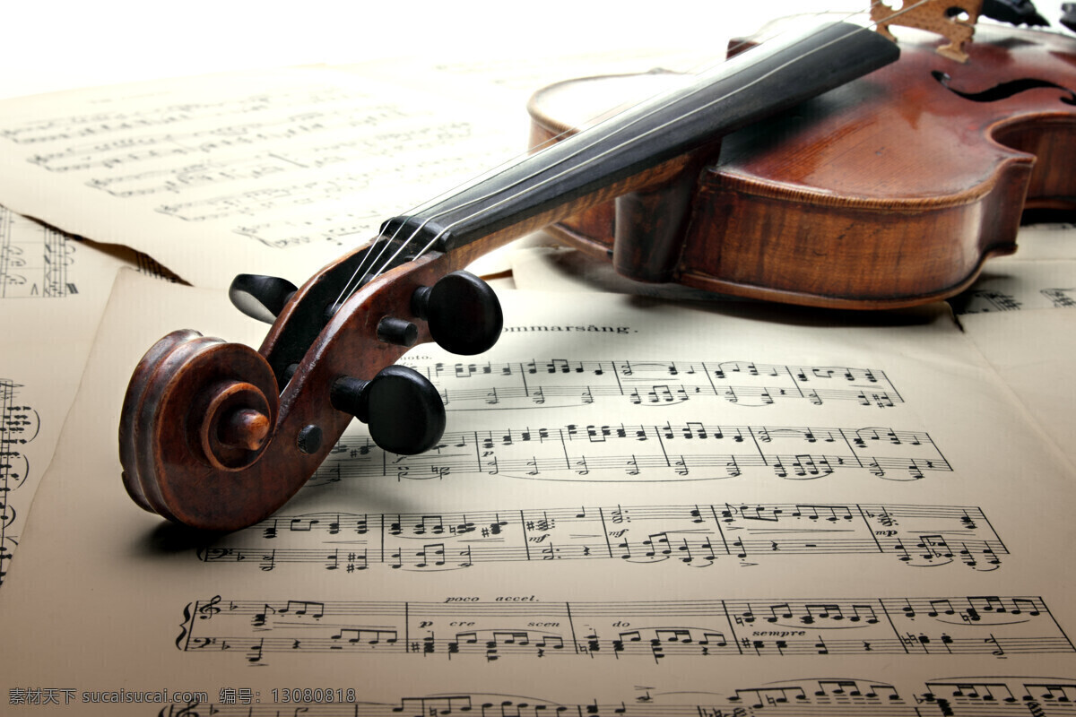 小提琴 琴 音乐 乐器 声乐 琴弦 琴谱 乐谱 音符 生活百科