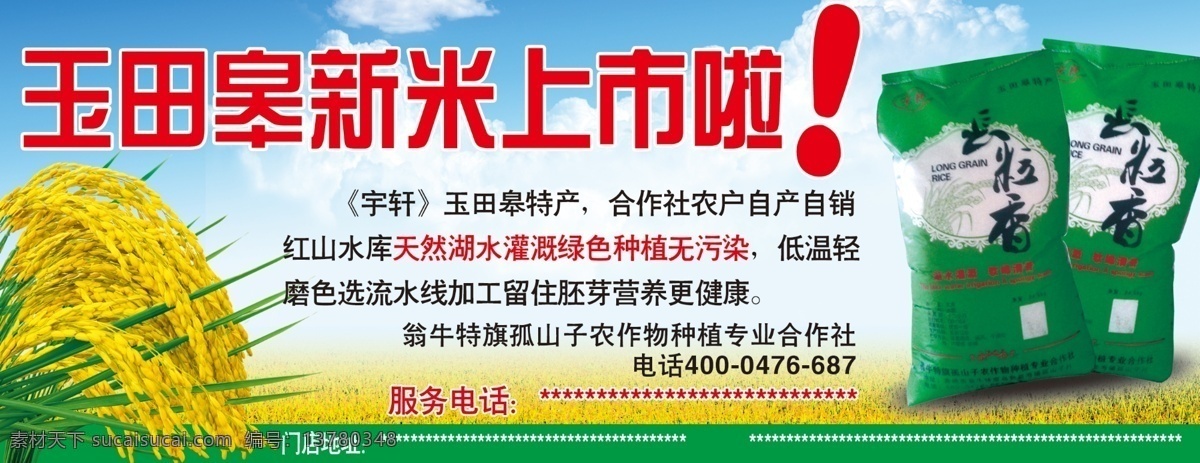 玉田 皋 大米 背景图片 高清 设计图 高清图片素材 广告背景 psd源文件