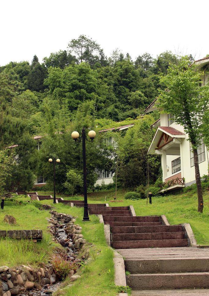 别墅 一角 草坪 风景画 树 台阶 屋子 自然风景 自然景观 别墅一角 清晨风景画 家居装饰素材 山水风景画