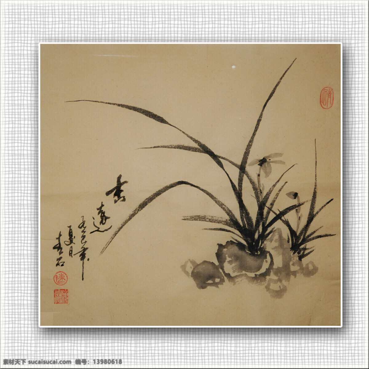 国画 绘画书法 兰花 文化艺术 文字 印章 青石 兰花设计素材 兰花模板下载 青石国画兰花 装饰素材 雕刻 图案