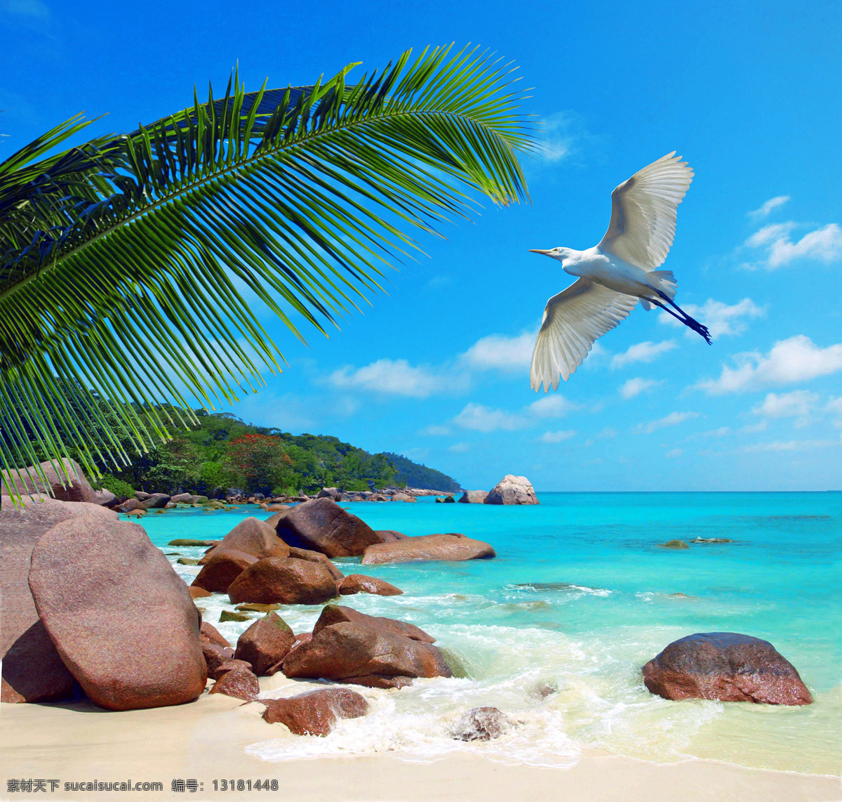 海边浪花 海边风景 自然风景 风景壁纸 海滩 海浪 蓝天白云 海水 海边 飞鸟 自然景观