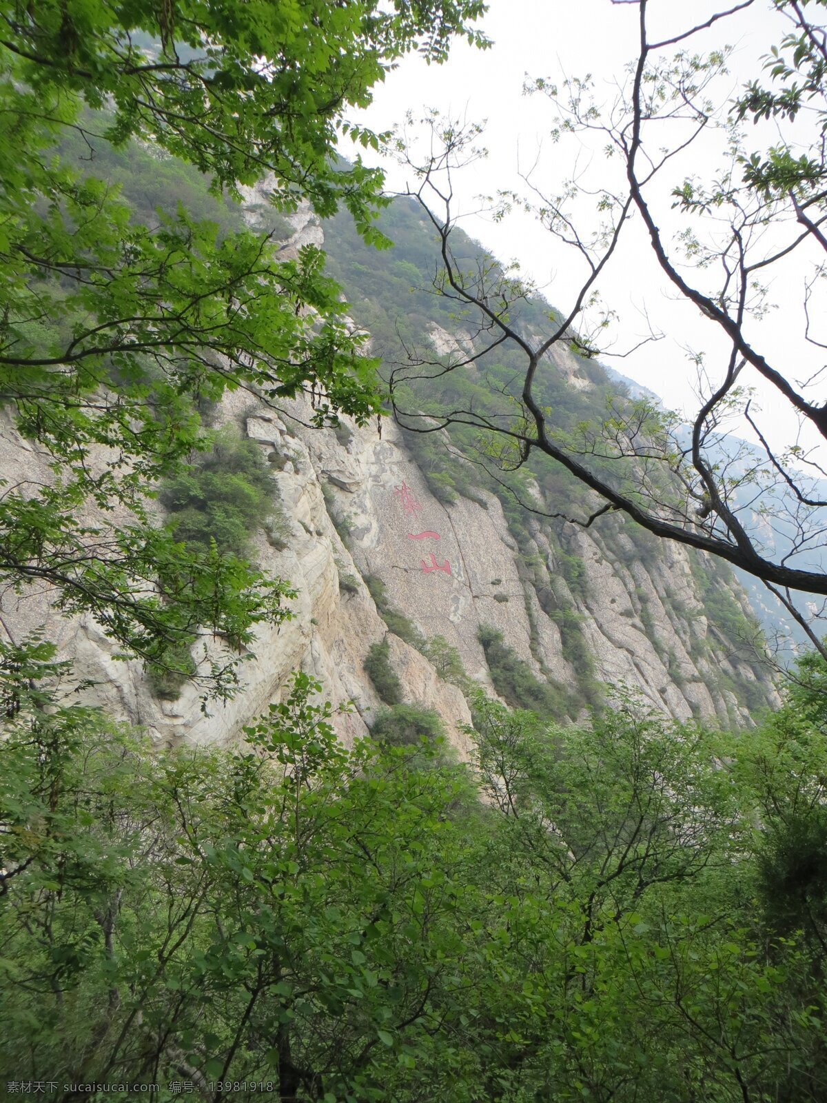 嵩山 登封 太室山 树林 石壁 石刻 嵩山风光 风景名胜 自然景观