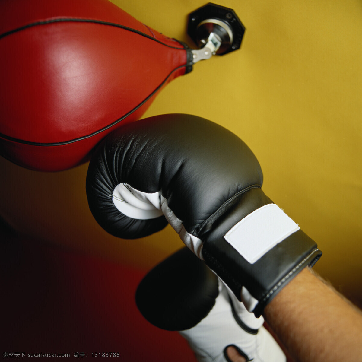 拳击 收受 手套 红色 梨球 黑色 黑人 欧美 体育运动 文化艺术