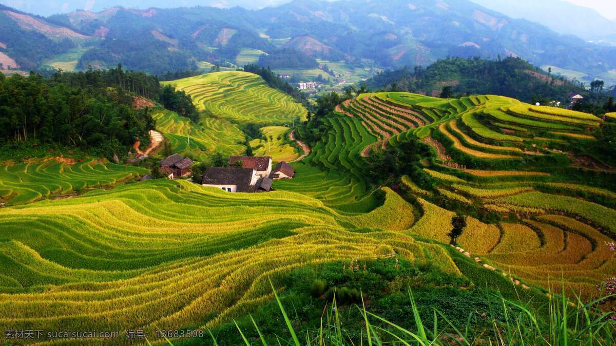 五福梯田 全州五福 梯田 农家 乡村 田园风光 田园风景 青山 绿树 自然景观