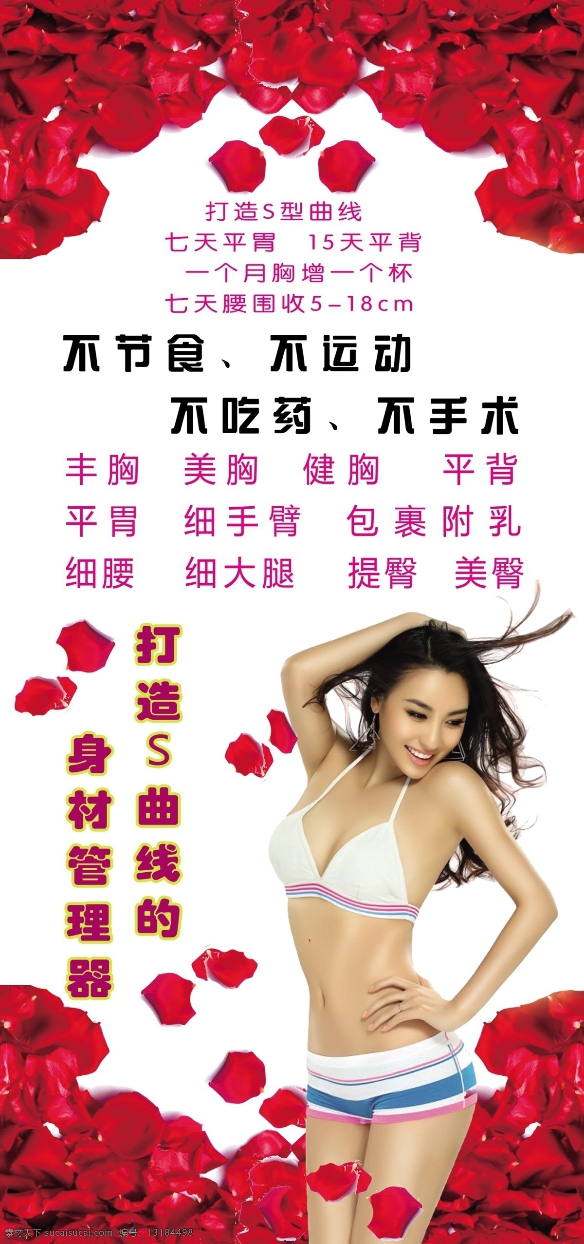 纤 婷 美体 减肥 展架 减肥写真 玫瑰背景 s身材美女 s美女 比基尼美女