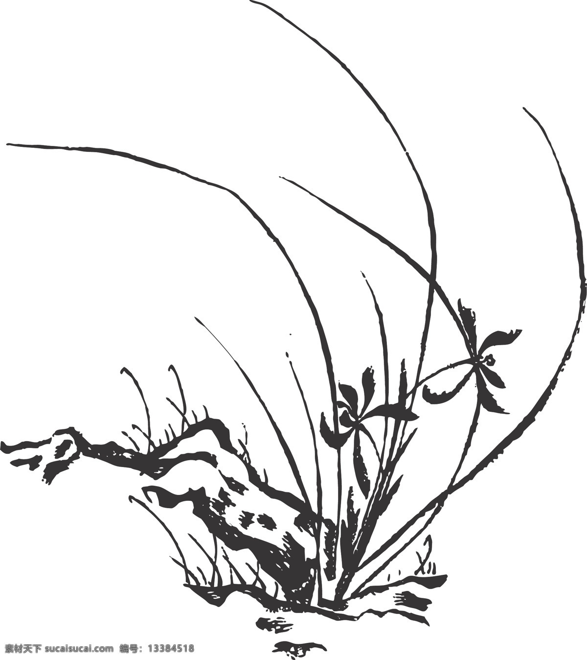 兰花 植物 花卉 观赏 线条 矢量 装饰 插画 白描 质朴文静 淡雅高洁 花卉白描图 生物世界 花草