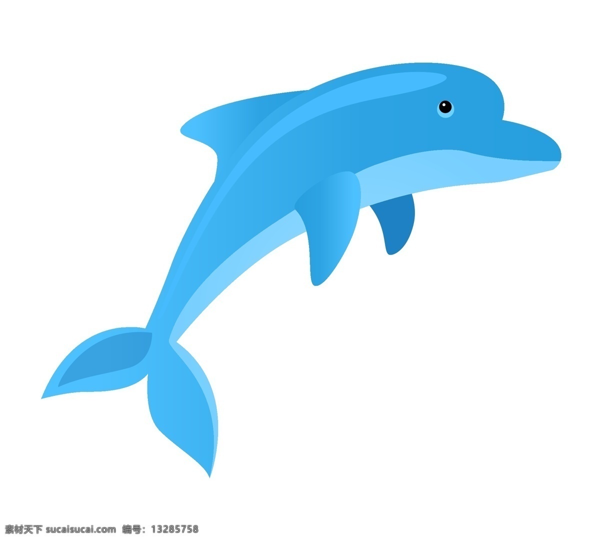 海豚海洋生物 海洋 生物 海豚