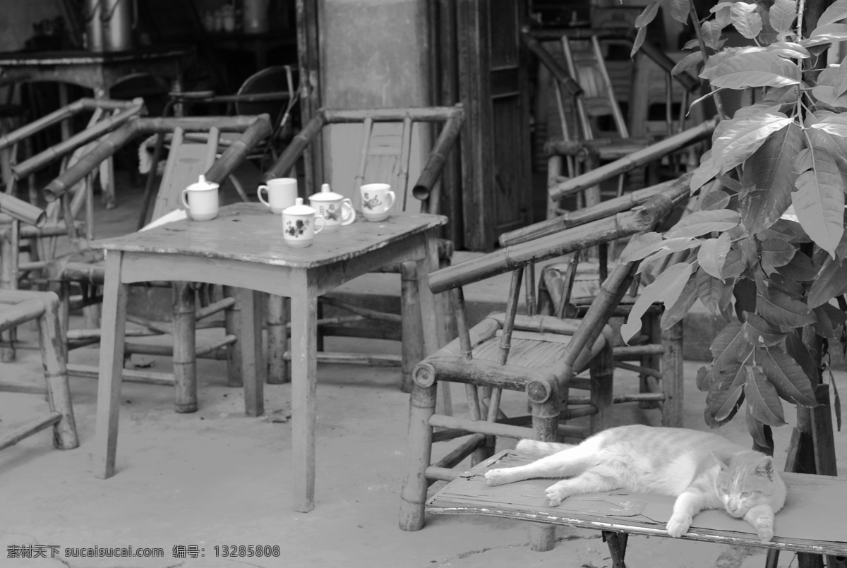 茶馆 老茶馆 怀旧 被子 藤椅 安静 生化 猫 打盹 舒适 安逸 质朴 黑白 自然景观 建筑景观