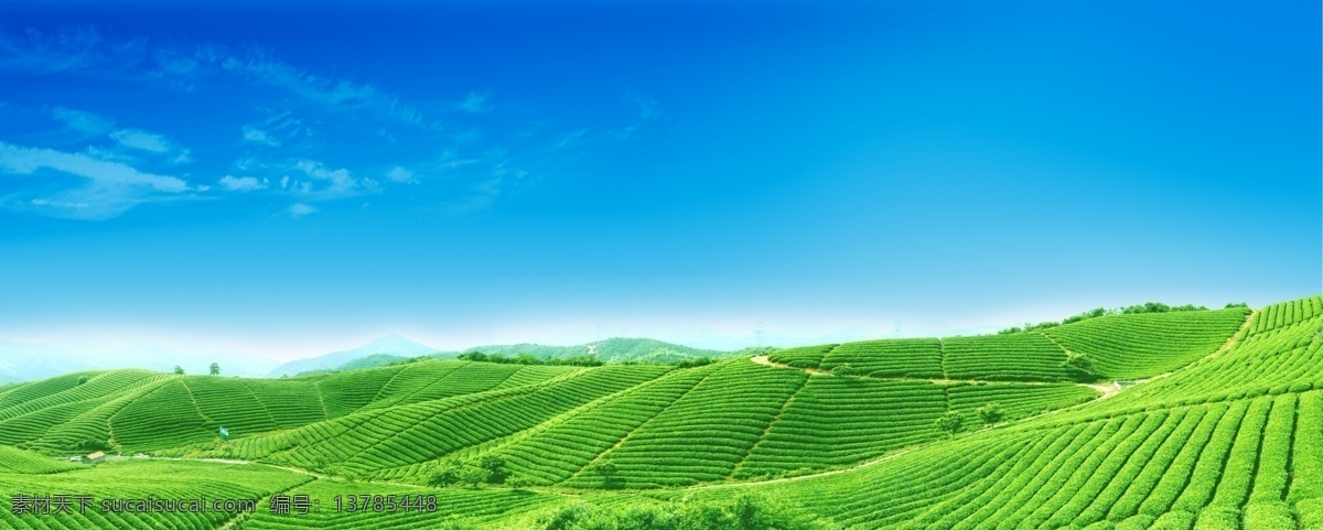 山川 自然风景 山丘 天空 绿色风景 广告素材 茶 风景 分层 源文件