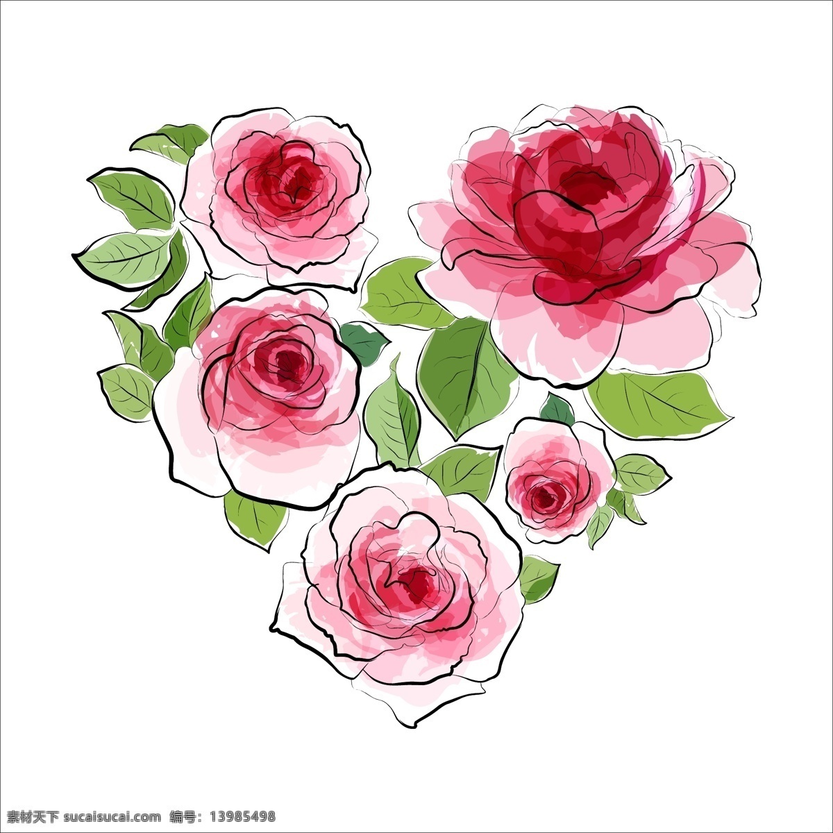 透明 水彩 玫瑰花 插画 植物 唯美 清新 叶子