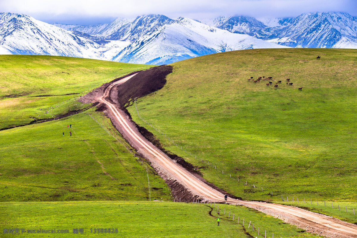 新疆 喀拉 峻 草原 风景