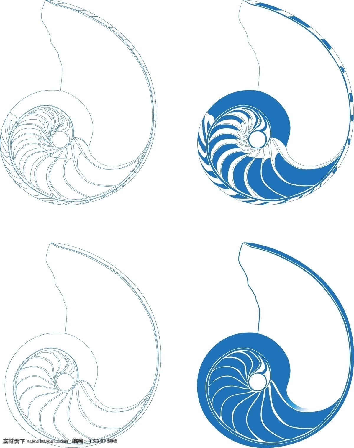 海螺剖面图 海螺 鹦鹉螺 剖面图 矢量 原创 海洋生物 生物世界