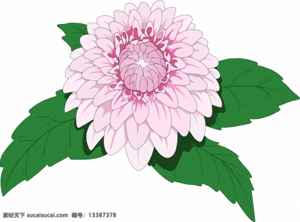 位图免费下载 服装图案 花卉 色彩 位图 植物 优雅植物 面料图库 服装设计 图案花型