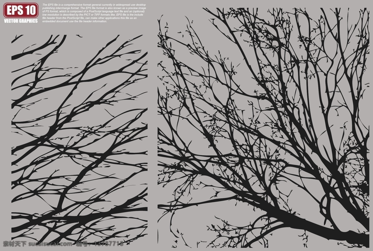 树枝矢量剪影 树枝剪影 矢量树枝 树枝矢量图 矢量剪影 树矢量图 矢量 底纹 背景 集 底纹背景 底纹边框