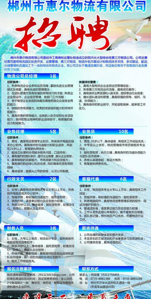 招聘 大海 海鸥 物流 矢量 招聘海报