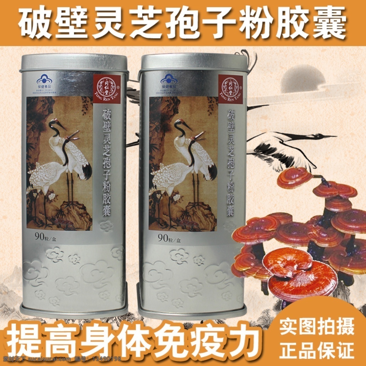 灵芝 孢子粉 胶囊 主 图 主图 中药 养生 免疫力 白色