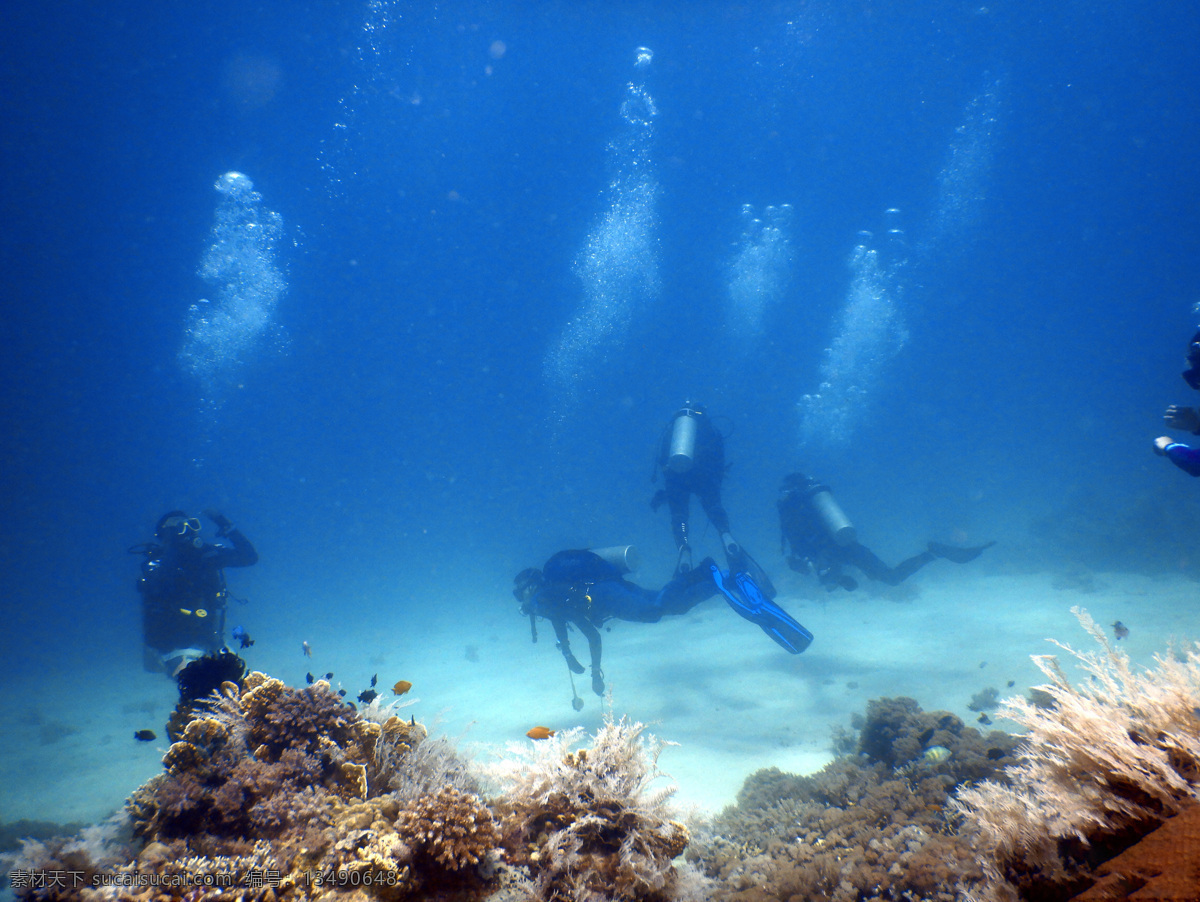 海底潜水 海底 生物 海草 海边 沙滩 旅行 原图 高清 蓝色 黄色 黑色 透明 潜水 蛙人 气泡 自然景观 山水风景