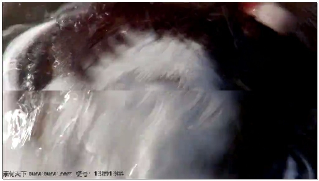 河流 动态 视频 水花 白色 晶莹 视频素材 动态视频素材