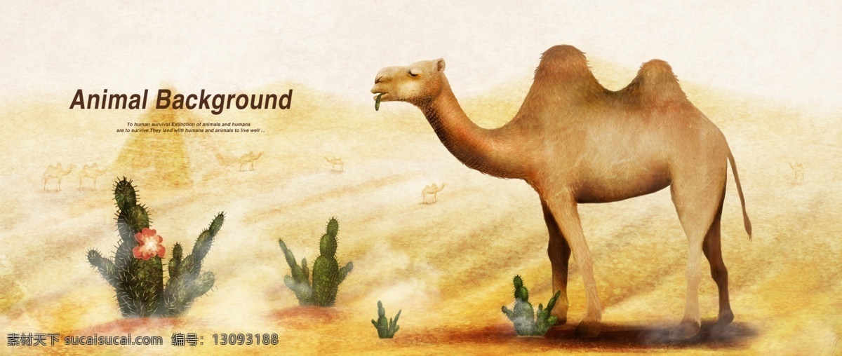 沙漠中的骆驼 沙漠 骆驼 仙人掌 psd分层 白色