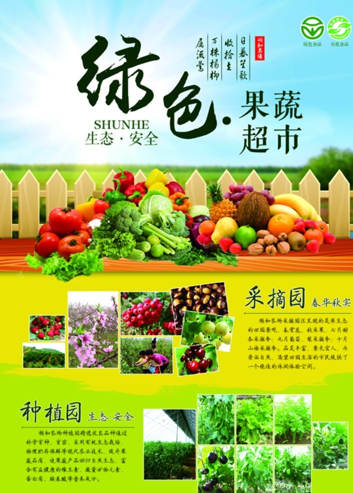 绿色 有机 蔬菜 食品 宣传 生态 水果 采摘 种植园 农场 果园 瓜果 蓝色 蓝天 绿地 栅栏 放射 光芒 苹果 香蕉 西瓜 葡萄 西红柿 青菜 白菜 番茄 黄瓜 dm宣传单